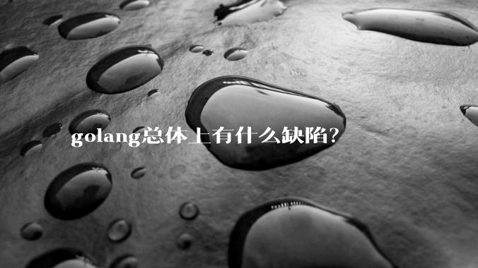 golang总体上有什么缺陷？