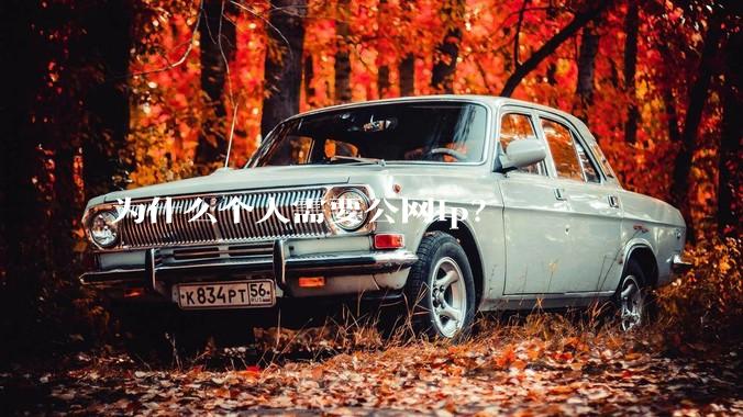 为什么个人需要公网ip？