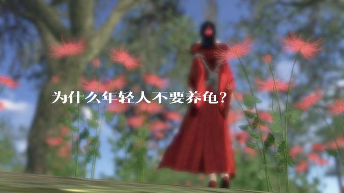 为什么年轻人不要养龟？