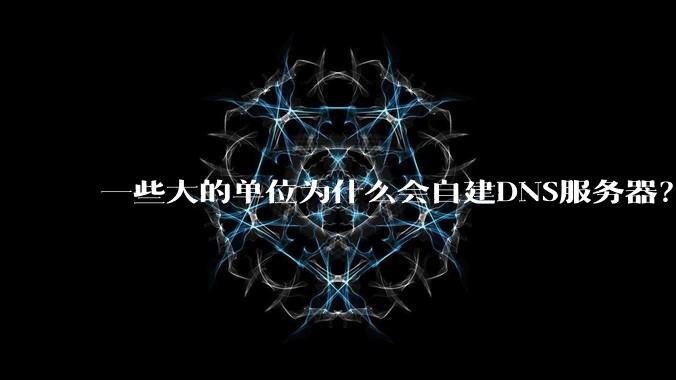 一些大的单位为什么会自建DNS服务器？