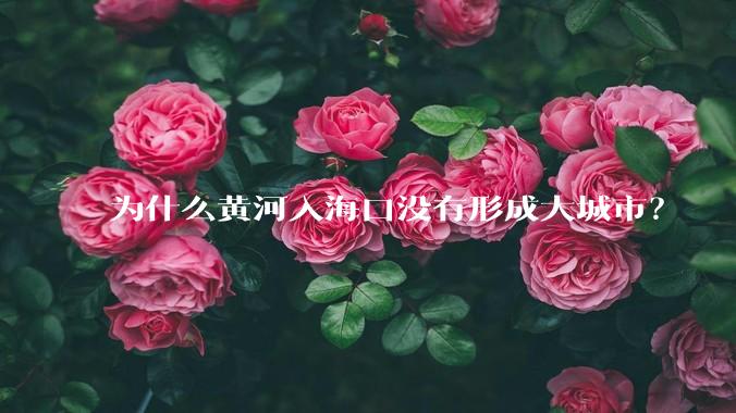 为什么黄河入海口没有形成大城市？