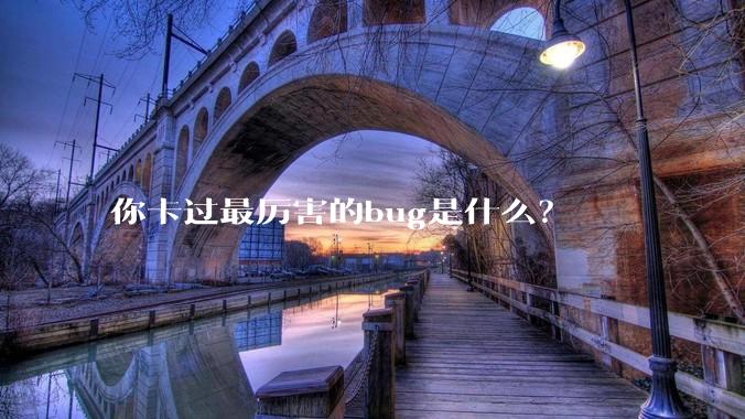 你卡过最厉害的bug是什么？