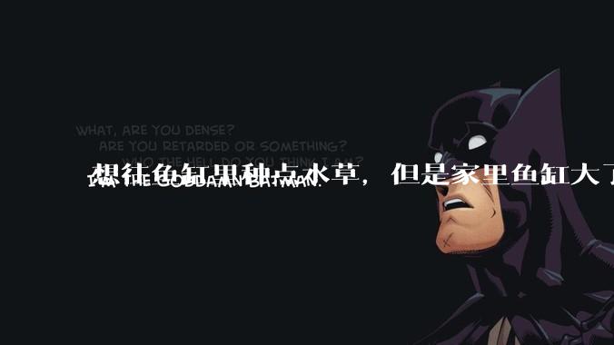 想往鱼缸里种点水草，但是家里鱼缸大了买水草泥或者底砂太贵了，有没有生活中可以替代的物品或其他建议？