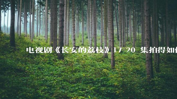 电视剧《长安的荔枝》17-20 集拍得如何？有哪些值得关注的剧情点？