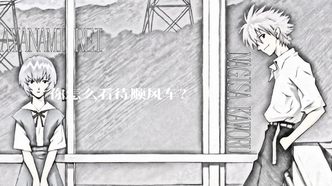 你怎么看待顺风车？