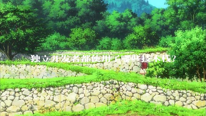 独立开发者都使用了哪些技术栈？