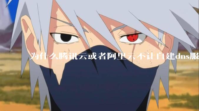 为什么腾讯云或者阿里云不让自建dns服务器?