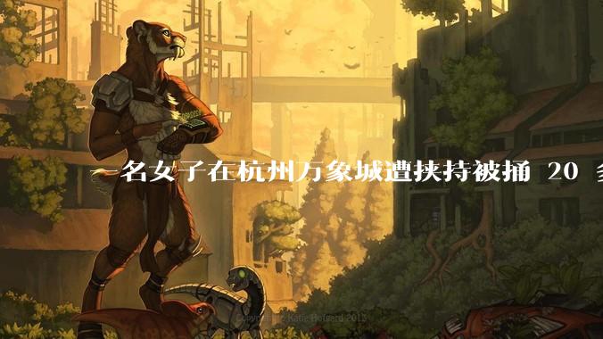 一名女子在杭州万象城遭挟持被捅 20 多刀，隆胸***体救了一命，这反映出哪些公安系统的问题？