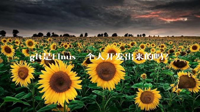 git是Linus一个人开发出来的吗？
