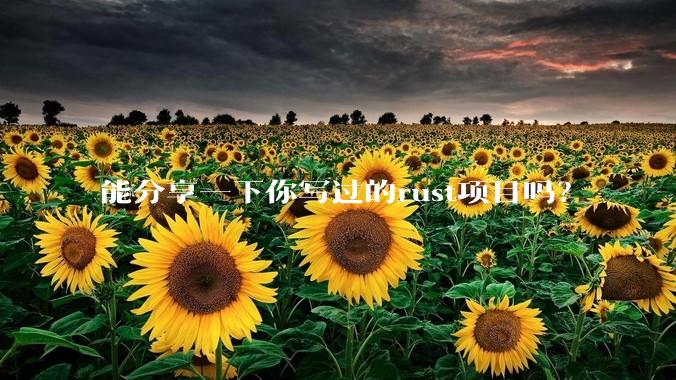 能分享一下你写过的rust项目吗？