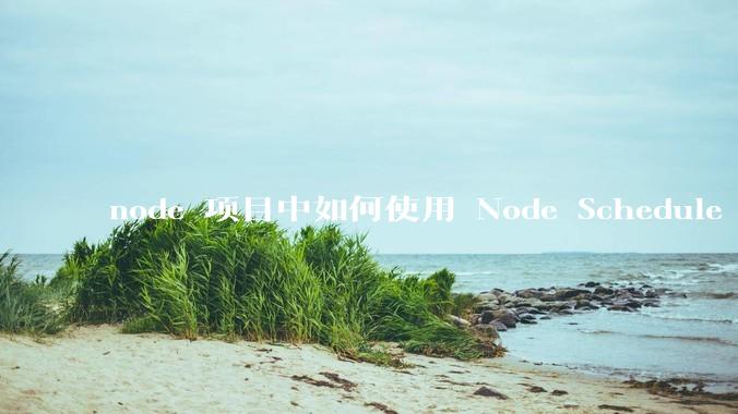 node 项目中如何使用 Node Schedule 创建定时任务？