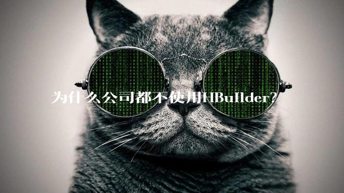 为什么公司都不使用HBuilder？