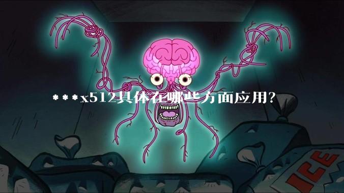 ***x512具体在哪些方面应用？