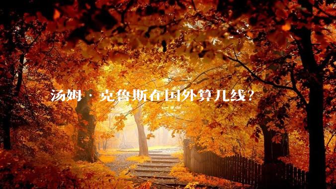汤姆·克鲁斯在国外算几线？